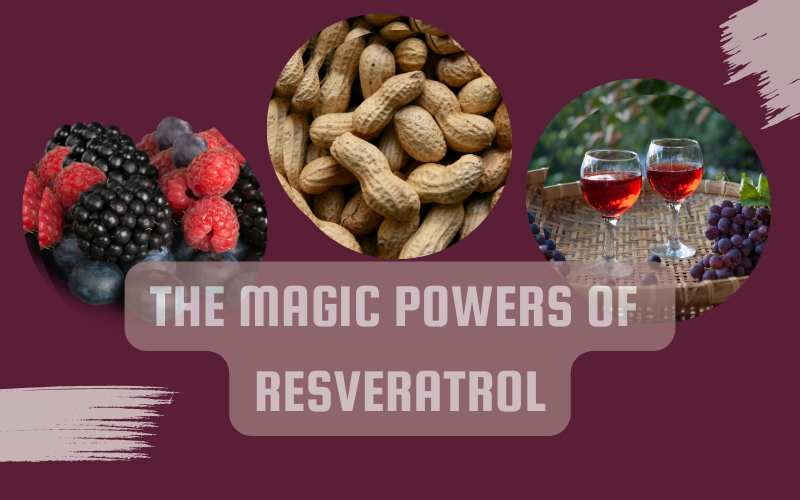 You are currently viewing The Anti-Aging Power of Resveratrol Explored