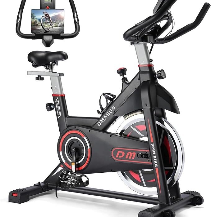 DMASUN stationary exercise bike