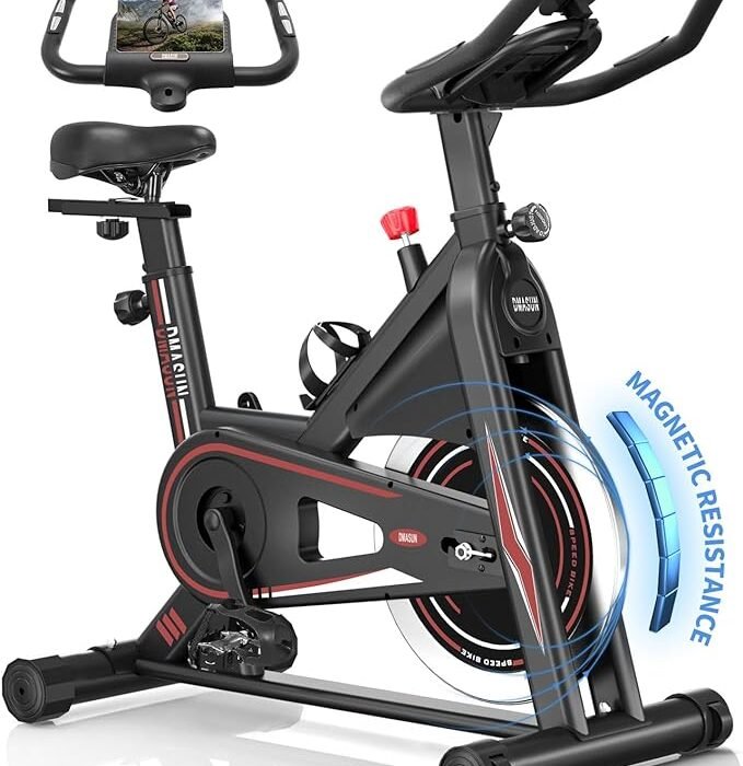 DMASUN stationary exercise bike