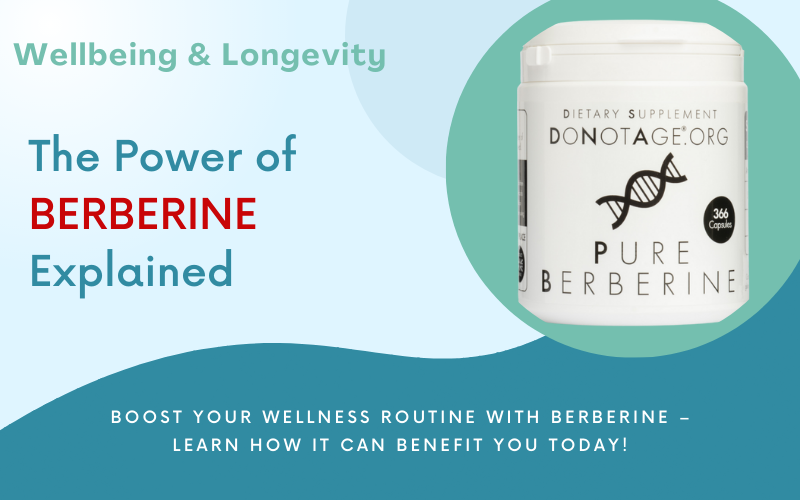 Read more about the article The Power of Berberine: Benefits, Uses, Side Effects and More Explained
