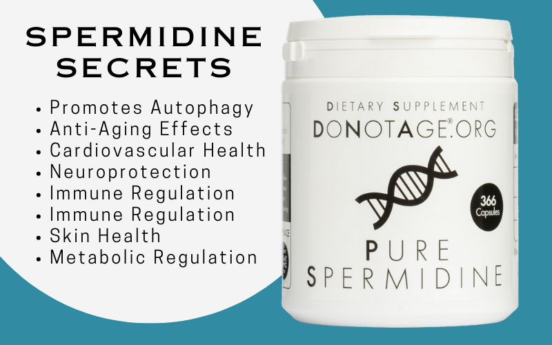You are currently viewing Spermidine 8 Benefits: Unlocking the Path to Timeless Health