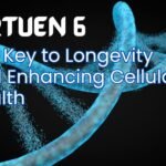 Sirt6 Activator: The Key to Enhancing Cellular Health