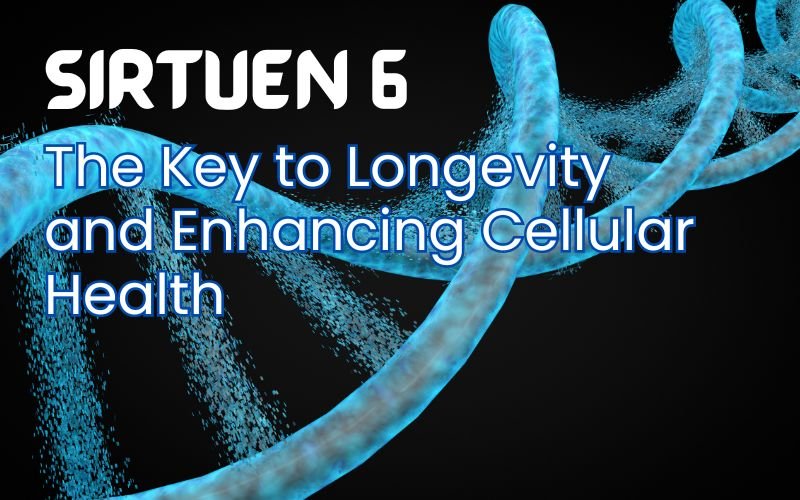 Read more about the article Sirt6 Activator: The Key to Enhancing Cellular Health