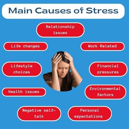 causes of stress