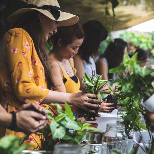 Okinawa group gardening